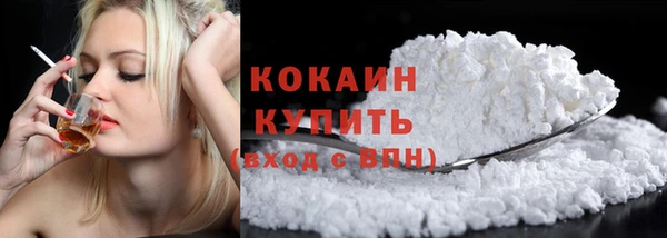 мдпв Богородицк