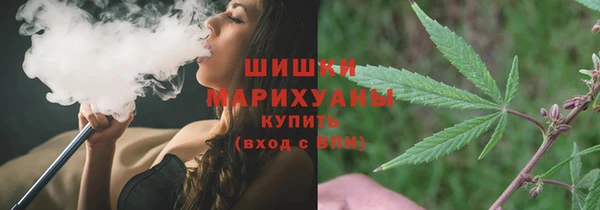 МДПВ Нея