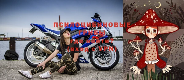 МДПВ Нея