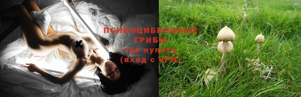 МДПВ Нея