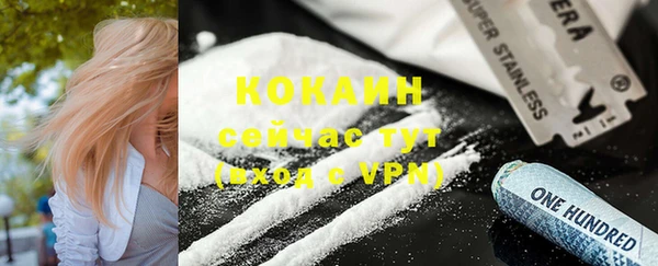 ГАЛЛЮЦИНОГЕННЫЕ ГРИБЫ Новозыбков