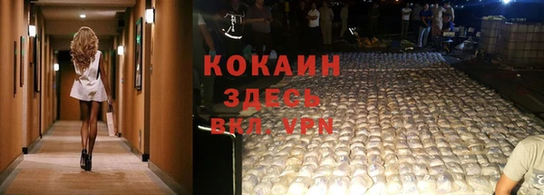 МДПВ Нея