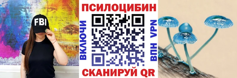 где найти   Ивдель  MEGA как войти  Псилоцибиновые грибы мицелий 